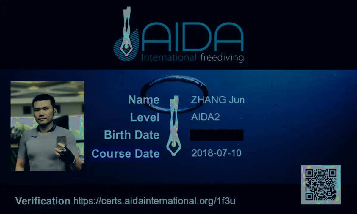 AIDA2 milestone