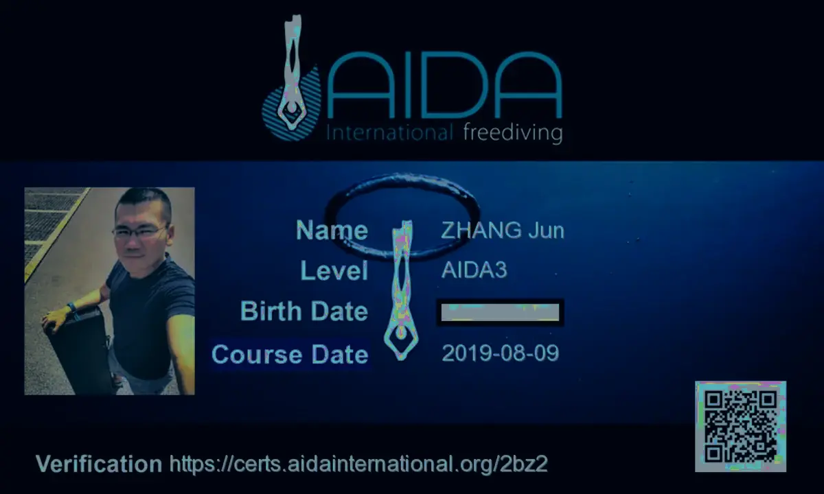 AIDA3 milestone