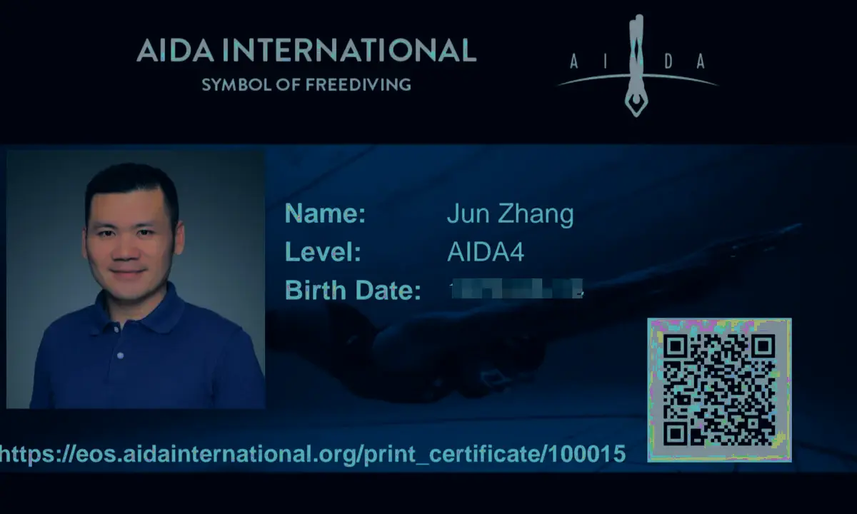 AIDA4 milestone